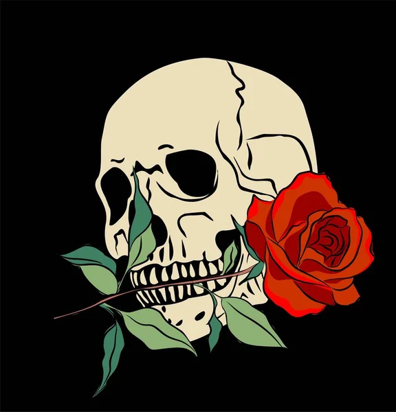Cráneo Humano Sosteniendo Rosa Roja Sus Dientes Horror Gráfico Ilustración — Archivo Imágenes Vectoriales
