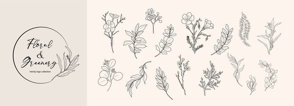 Floral branch and minimalist leaves for logo or tattoo. Hand drawn line wedding herb, elegant wildflowers. Minimal line art drawing for print, cover or wallpaper.