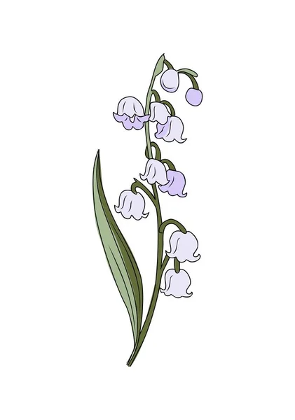 Niech Miesiąc Urodzenia Kwiat Lily Doliny Kolorowe Wektor Ilustracji Ręcznie — Wektor stockowy