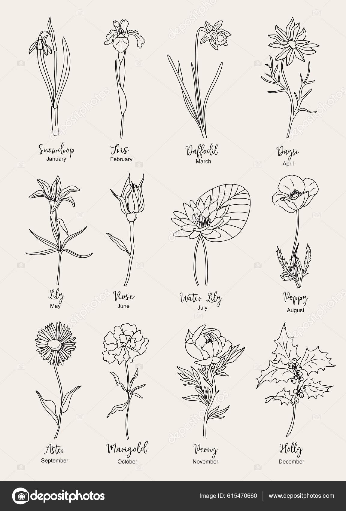 Buy January Birth Month Flower Pack Scan carnation and Snowdrop DIGITAL  DOWNLOAD for Tattoo Design or Wallpaper Online in India - Etsy
