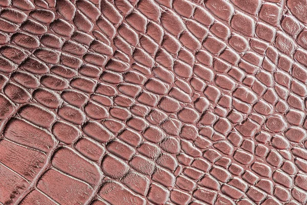 Textura de cuero genuino, en relieve bajo la piel reptil, cocodrilo, color marrón —  Fotos de Stock