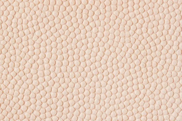 Tekstura Oryginalnej Skóry Delikatny Koralowy Pastelowy Kolor Nadruku Aby Uzyskać — Zdjęcie stockowe