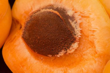 Taze, sulu bir dilim ve yakın mesafeden kayısı. Meyve ve sağlıklı yaşam tarzı konsepti