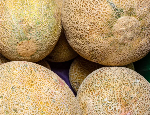 melons in a market. close up of a group of melons.