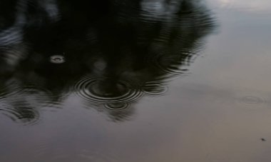 The rain drops on the surface of the pond with the reflection of the blue sky as if feeling sad or lonely.