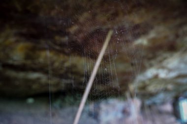 A spider web created to trap prey.