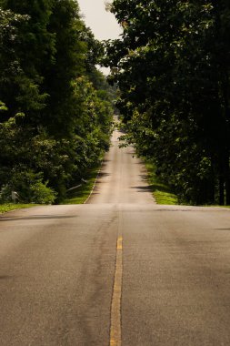 Yolun iki tarafındaki asfalt yol büyük ağaçlarla doluydu..