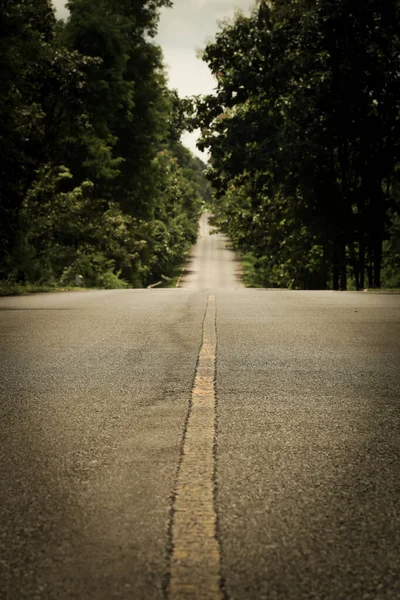 The asphalt road on both sides of the road was filled with big trees.