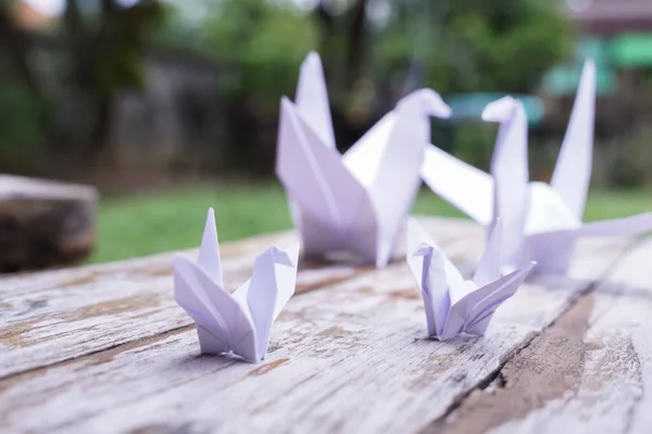 The origami bird is believed to be a sacred bird and a symbol of longevity, hope, good luck and peace.