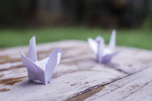 The origami bird is believed to be a sacred bird and a symbol of longevity, hope, good luck and peace.