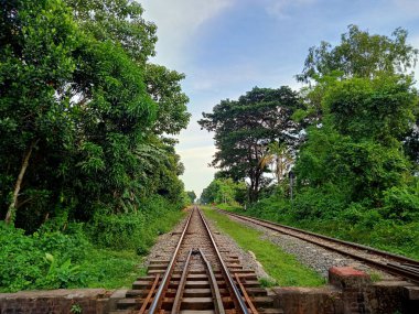 Beautiful railway in the forest