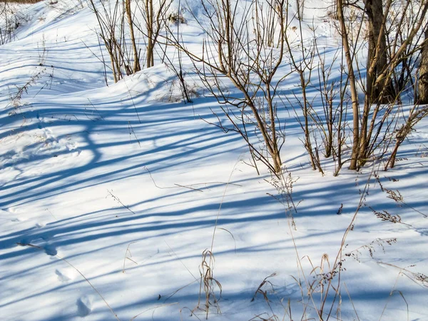 Sombras Uma Superfície Nevada Textura Contexto — Fotografia de Stock