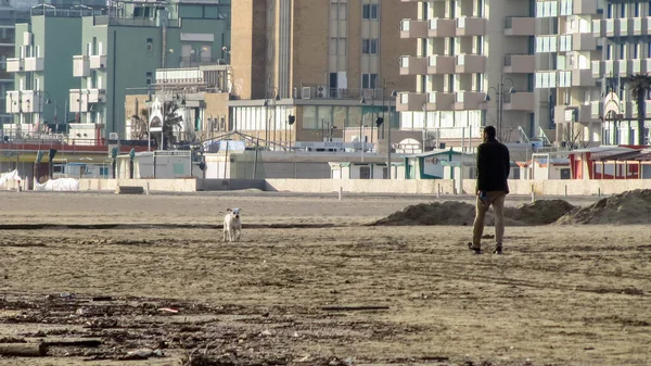 Rimini Włochy Lutego 2012 Mężczyzna Psem Spaceruje Zimowej Plaży — Zdjęcie stockowe
