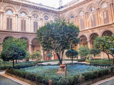ROMA, İtalya - 24 Şubat 2012 Via del Corso 'daki Palazzo Doria Pamphili' nin bahçesinde verimli ağaçlar. Giriş halka açık.