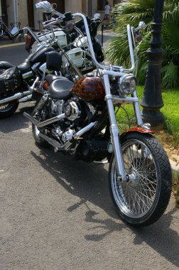 Harley Davidson Nice and Rarely