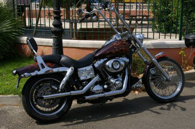 Harley Davidson Nice and Rarely