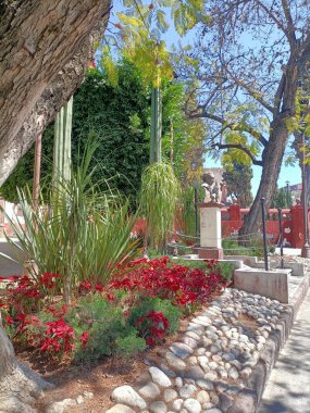 Güzel botanik fotoğrafı, doğal duvar kağıdı.