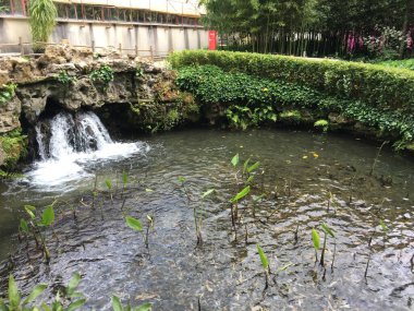 Parkın güzel manzarası