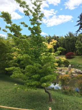 Parkın güzel manzarası