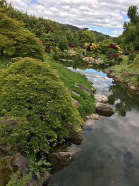 nice little river in a parc