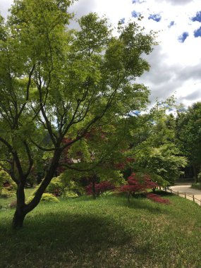 Parkın güzel manzarası
