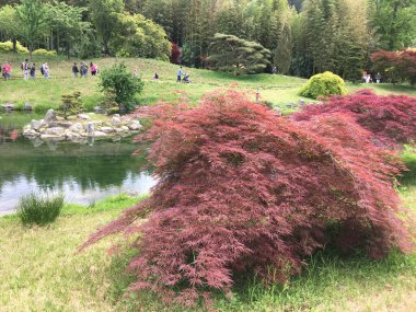 Parkın güzel manzarası