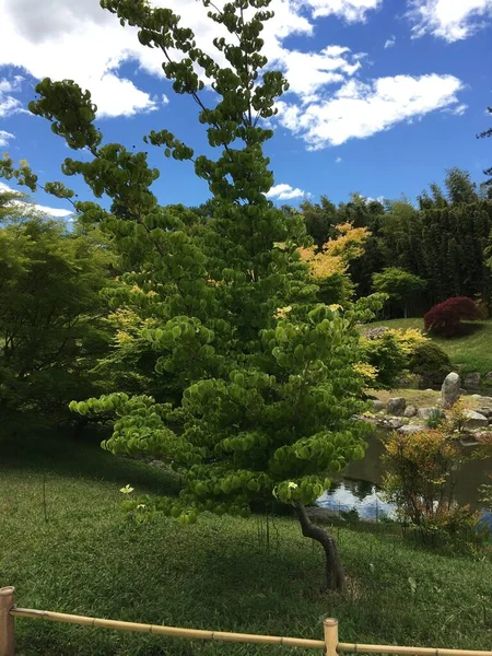 Parkın güzel manzarası