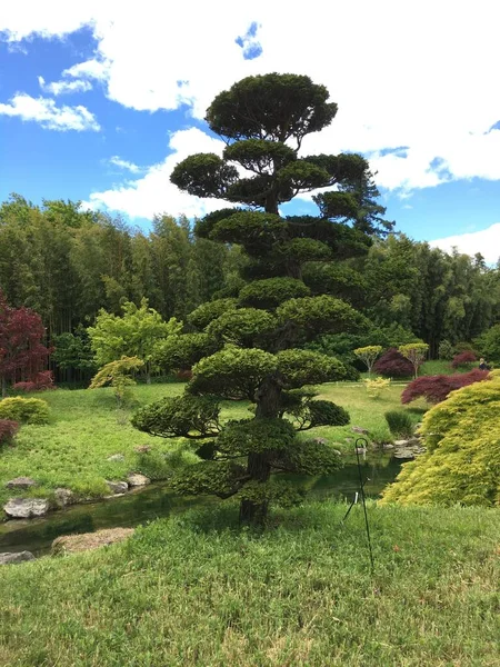 Güzel botanik fotoğrafı, doğal duvar kağıdı.