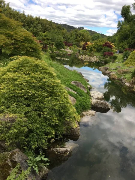 nice little river in a parc