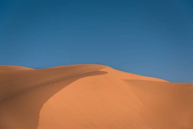 Kum tepelerinin güzel manzarası, seçici odaklanma