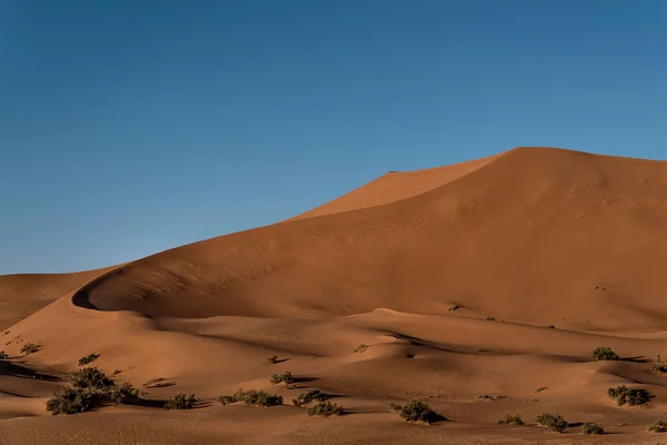 Beautiful Landscape Desert Namib Naukluft National Park — Foto de Stock