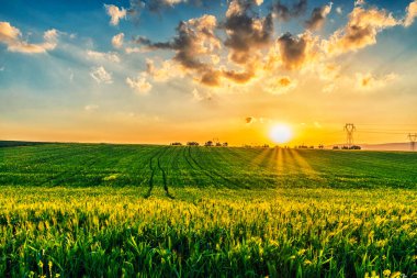 Tarlanın üzerinde güzel bir gün batımı