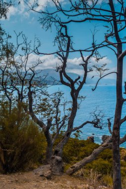 Güzel deniz manzarası