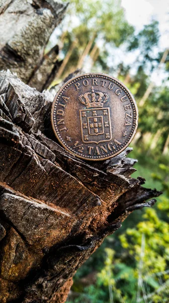 Bronze Half Tanga Coin 1903 Року Викарбувана Португальською Індією Спирається Ліцензійні Стокові Зображення