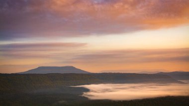 Autumn sunrise in mountainous rural area. trees in golden foliage on the meadow in weathered grass. sky with clouds in morning light