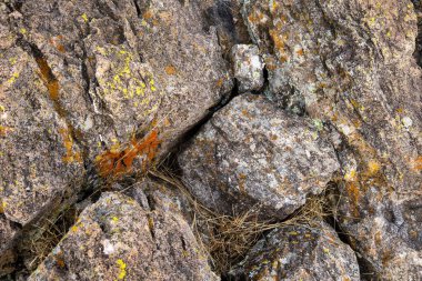 Yosunlu kırmızı kaya dokusu arkaplanı