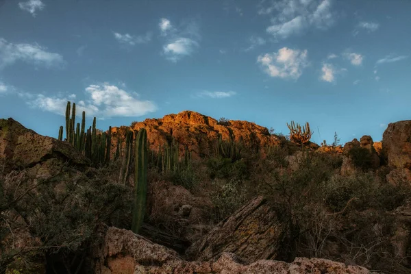 Eine Wüstenlandschaft Der Tatacowüste Mexiko — Stockfoto