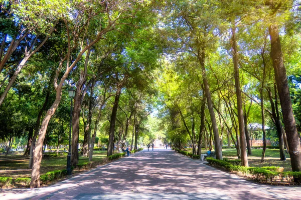 Alameda Queretaro Mexico — Stock fotografie