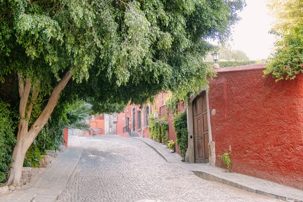 Eine Straße Von San Miguel Und Allende Guanajuato — Stockfoto