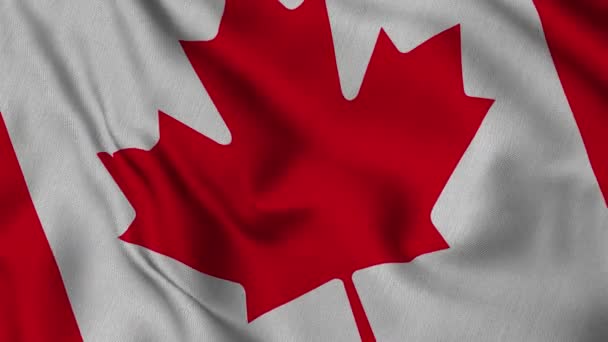 Drapeau Canadien Agitant Dans Vent Avec Une Carte Pays Dans — Video