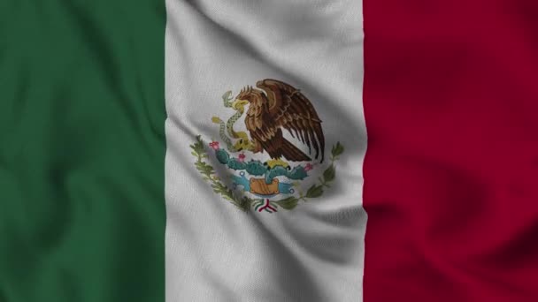 Bandeira México Tremer Vento Jardim Composto Filmagem — Vídeo de Stock