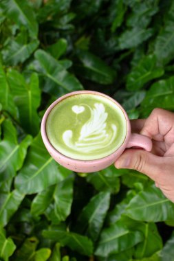Hands holding green tea with a pattern in a cup on the background of tropical leaves. High quality photo