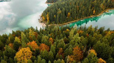 Autumn in the Bavarian mountains, Germany. Alps landscape with lake, clouds, forest, coast and turquoise water. View from above. Aerial drone outdoor photo.