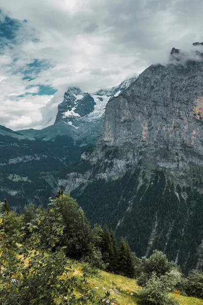 Lauterbrunnen valley, Switzerland, Jungfrau. Swiss Alps. Beautiful landscape, Europe. Mountain view. Snow peaks, gorge and green forest. Panoramic view in Murren
