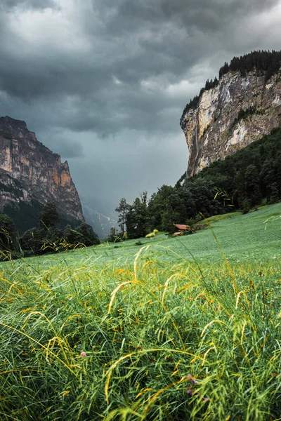 Lauterbrunnen valley, Switzerland. Swiss Alps. waterfall in mountains. Forest, fog, green meadow and low clouds. Beautiful landscape, Europe.