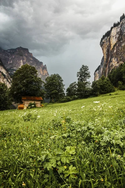 Lauterbrunnen valley, Switzerland. Swiss Alps. Barn house in mountains. Forest, rocks and green meadow. Landscape after rain. High quality photo