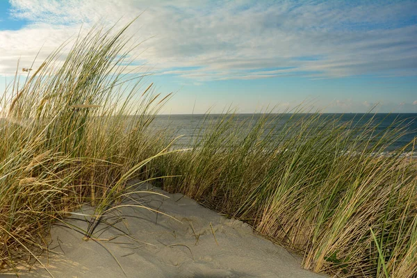 Sanddünen Mit Strandgras Meer Und Himmel — Stockfoto