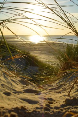 Gün batımında, Hollanda 'nın Kuzey Denizi kıyısındaki kumlu bir kumulda kumların arasından denize bak.