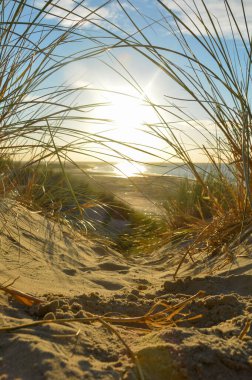 Gün batımında, Hollanda 'nın Kuzey Denizi kıyısındaki kumlu bir kumulda kumların arasından denize bak.