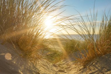 Gün batımında, Hollanda 'nın Kuzey Denizi kıyısındaki kumlu bir kumulda kumların arasından denize bak.